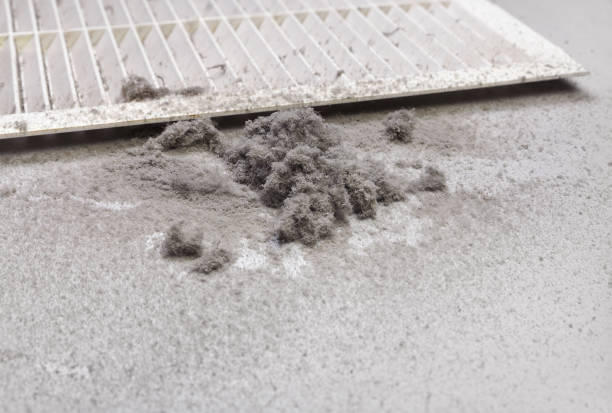 Best HVAC Air Duct Cleaning  in El Cenizo, TX