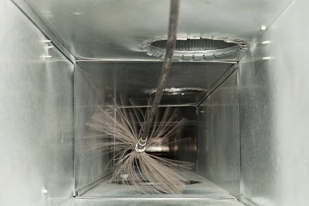 Best Air Duct Cleaning Near Me  in El Cenizo, TX
